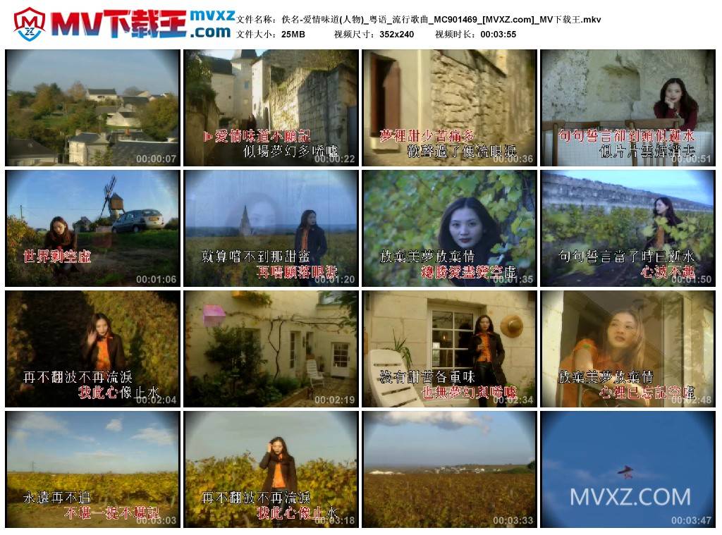 佚名-爱情味道(人物)_粤语_流行歌曲_MC901469